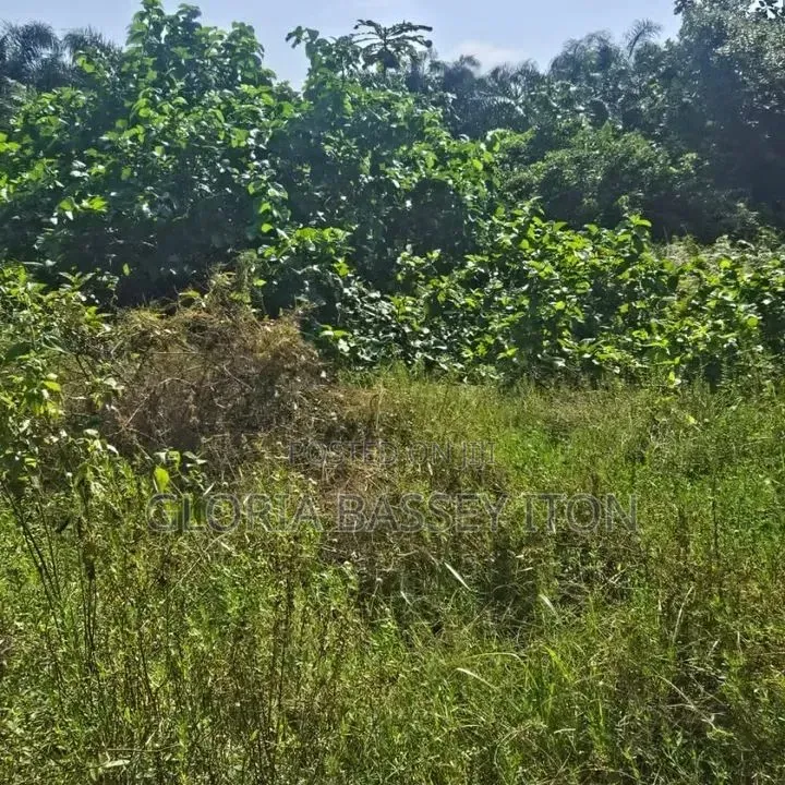 Land for Sale in  Laokwe  Facing the Exxpressway