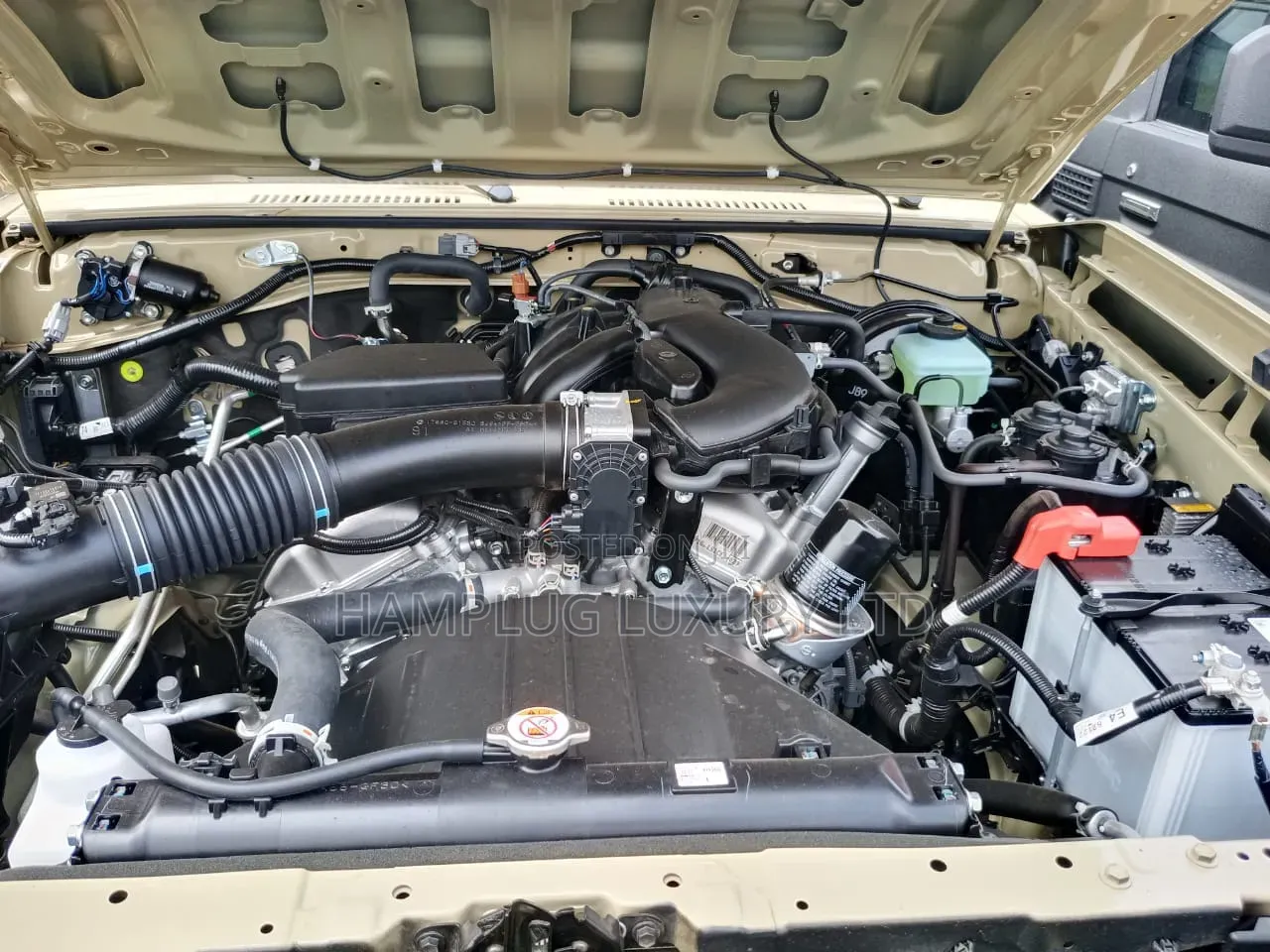 New Toyota Land Cruiser 2025 Brown