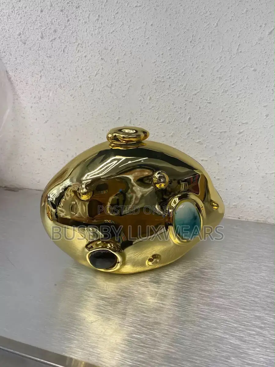 Chic Acrylic Ladies Purse