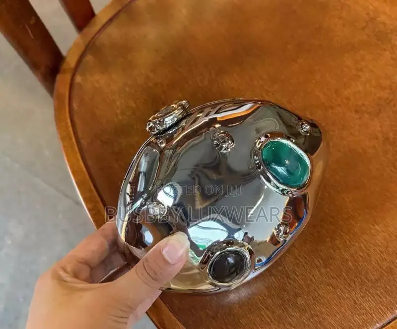 Chic Acrylic Ladies Purse
