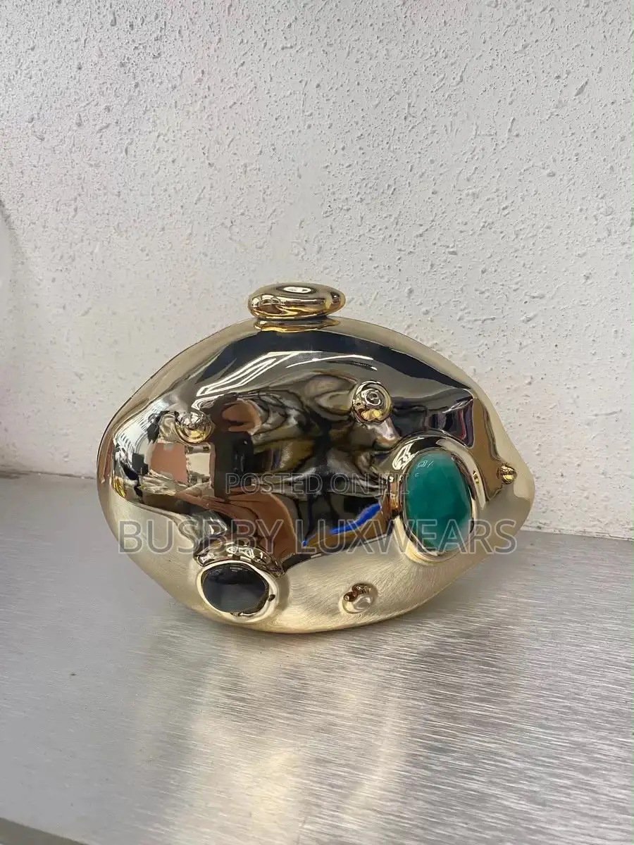 Chic Acrylic Ladies Purse