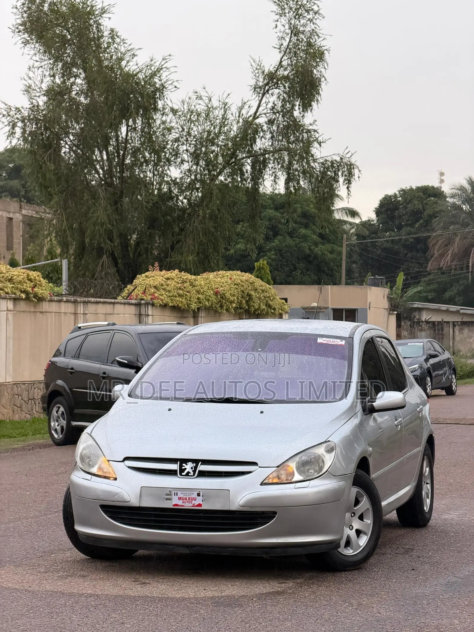 Peugeot 307 2007 Silver