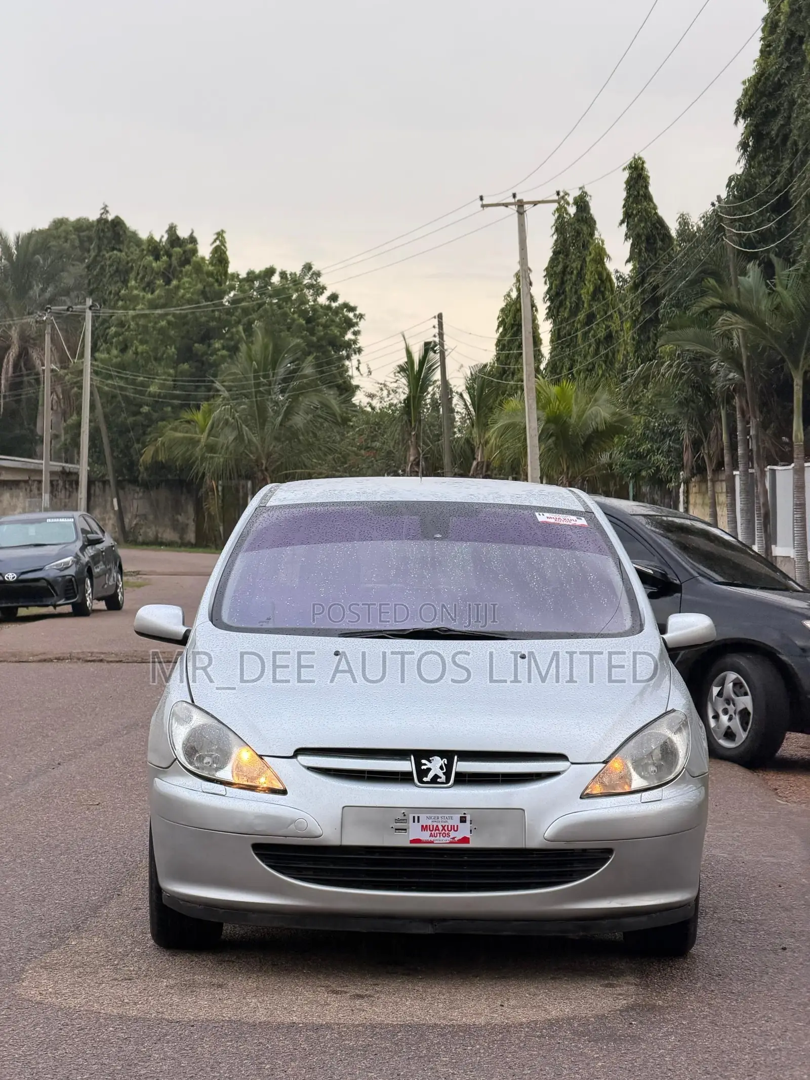 Peugeot 307 2007 Silver