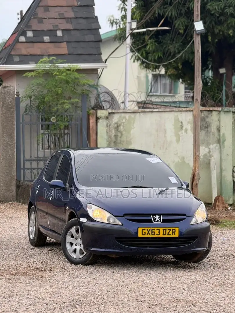 Peugeot 307 2007 Blue