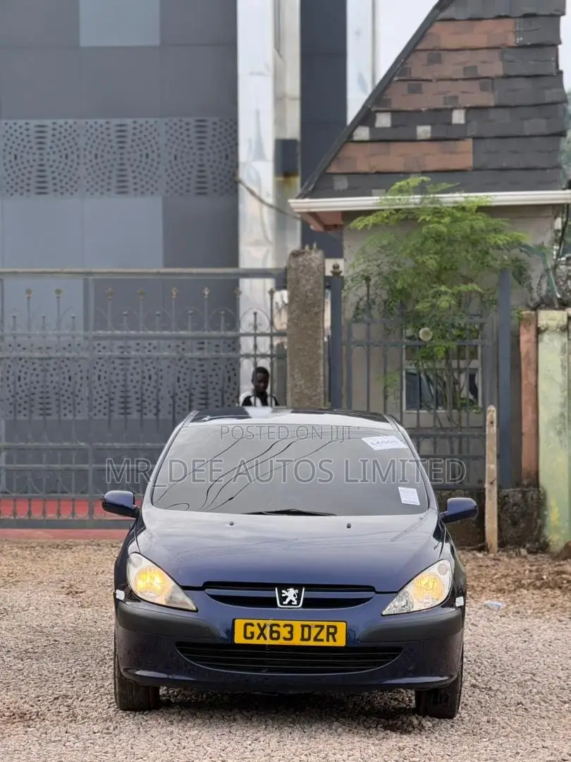 Peugeot 307 2007 Blue