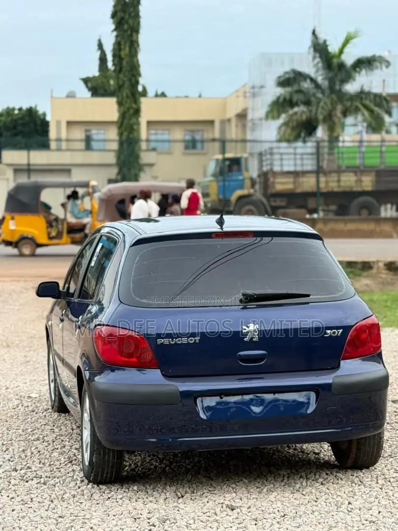 Peugeot 307 2007 Blue