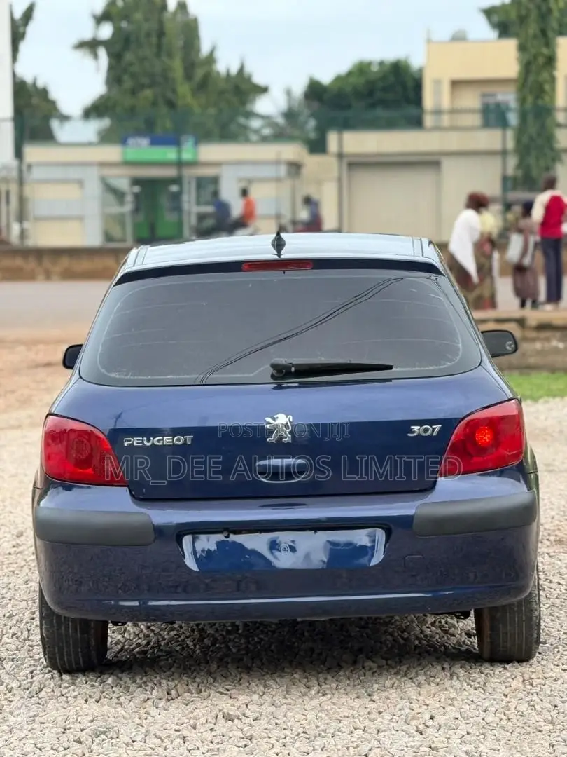 Peugeot 307 2007 Blue