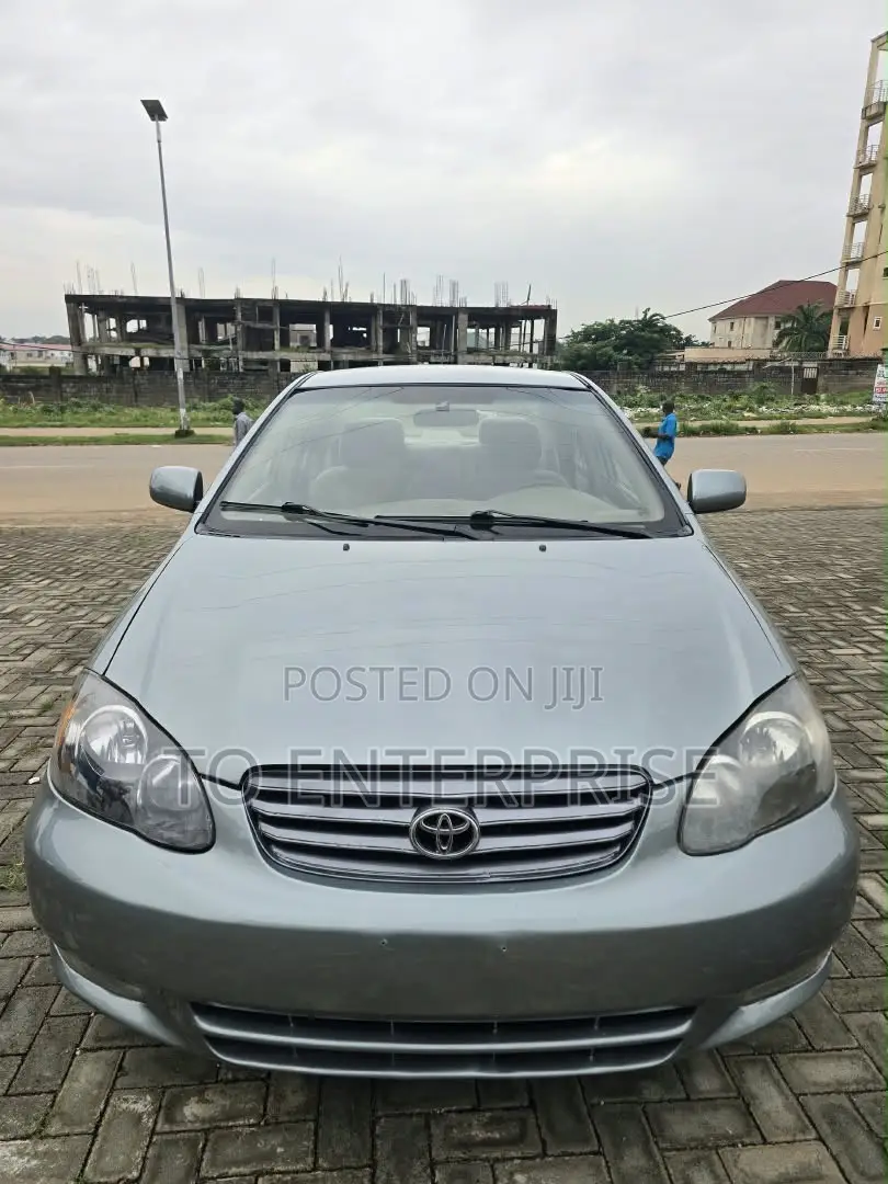 Toyota Corolla 2004 Gray
