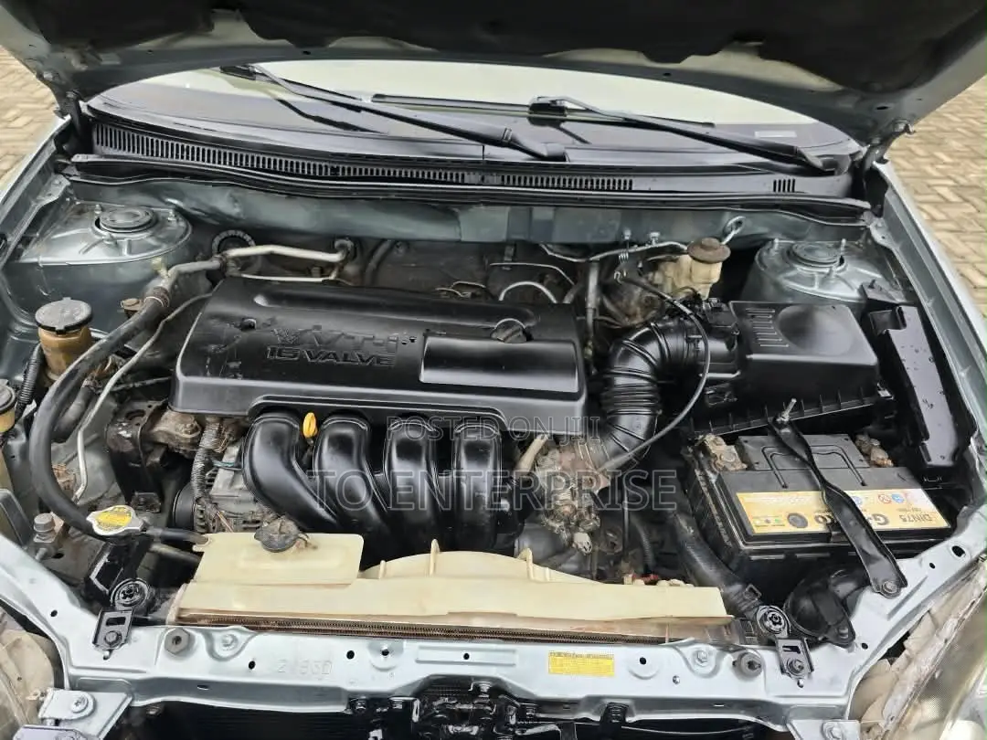 Toyota Corolla 2004 Gray