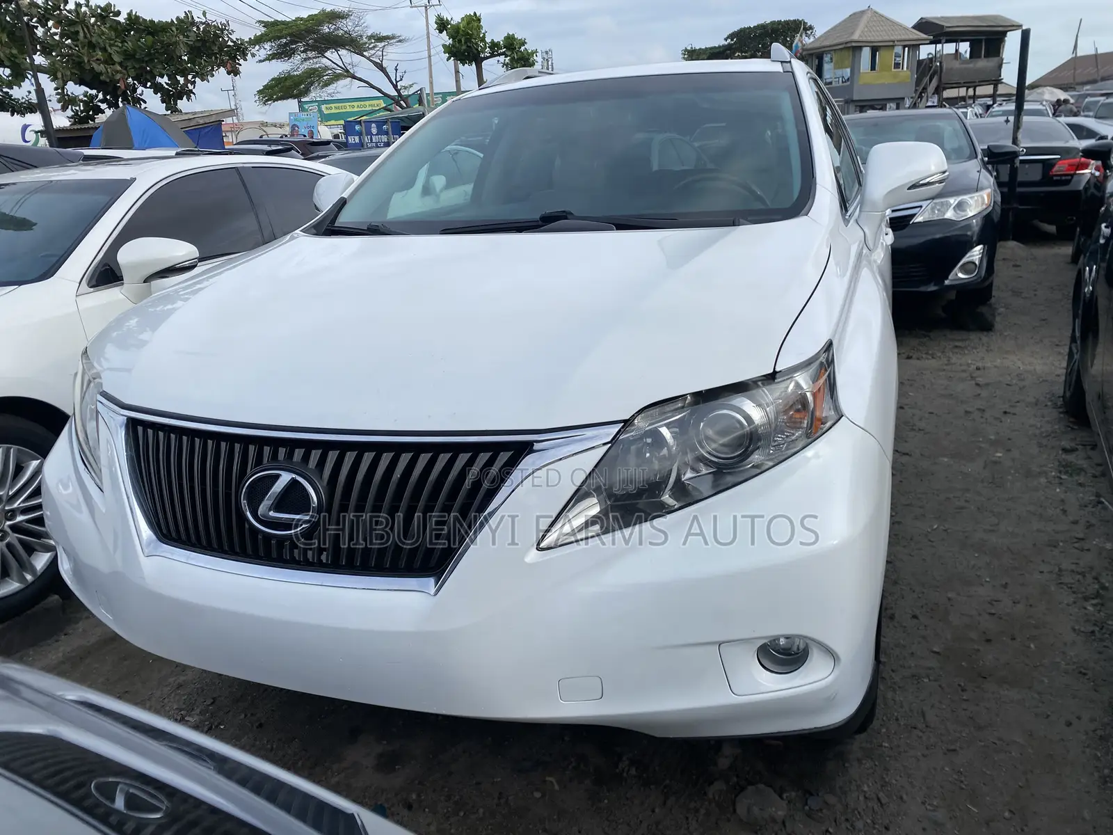 Lexus RX 2011 White