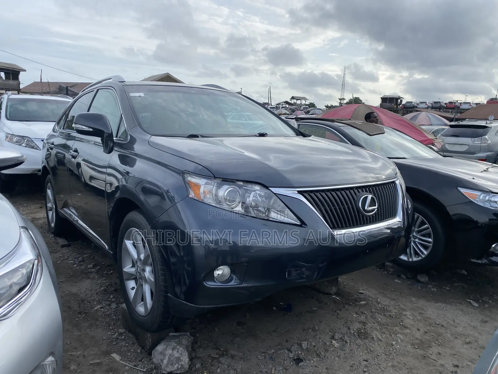 Lexus RX 350 2010 Gray