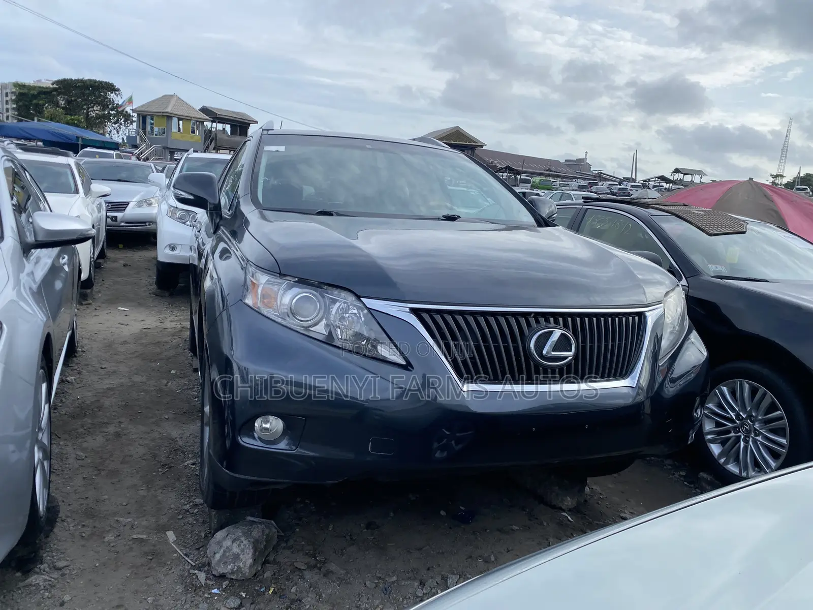 Lexus RX 350 2010 Gray