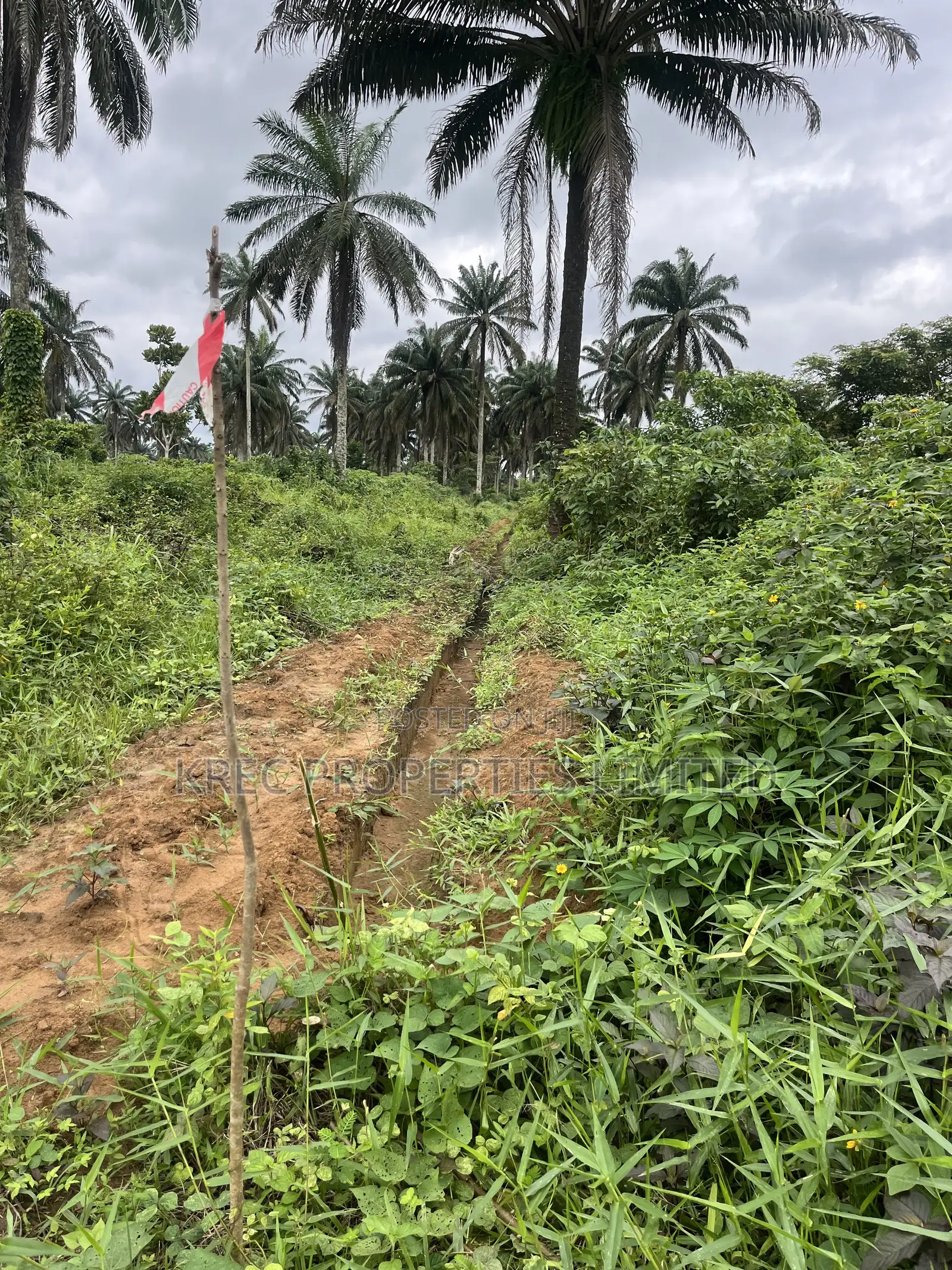 Land on Omagwa Express Road
