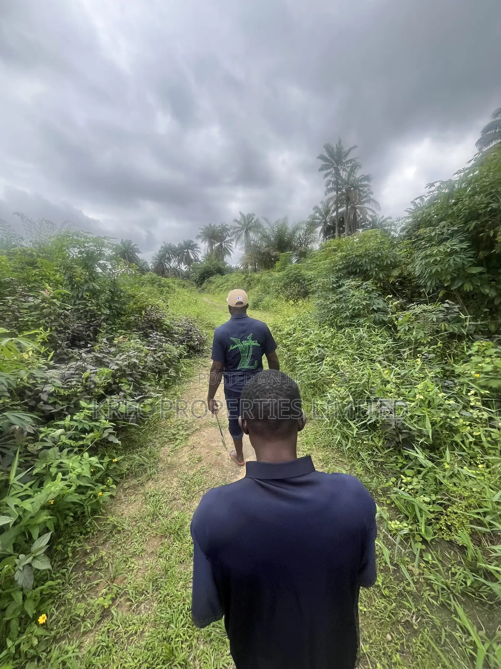 Land on Omagwa Express Road