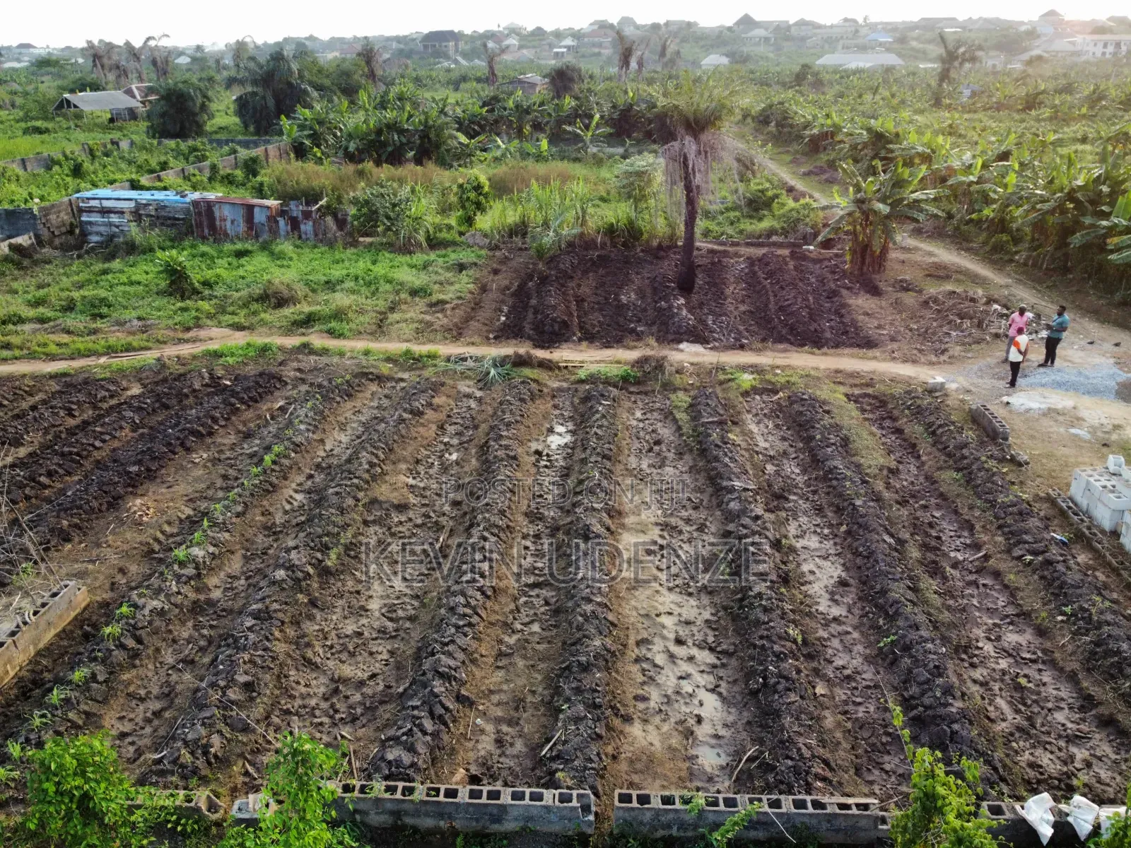 A Plot of Land