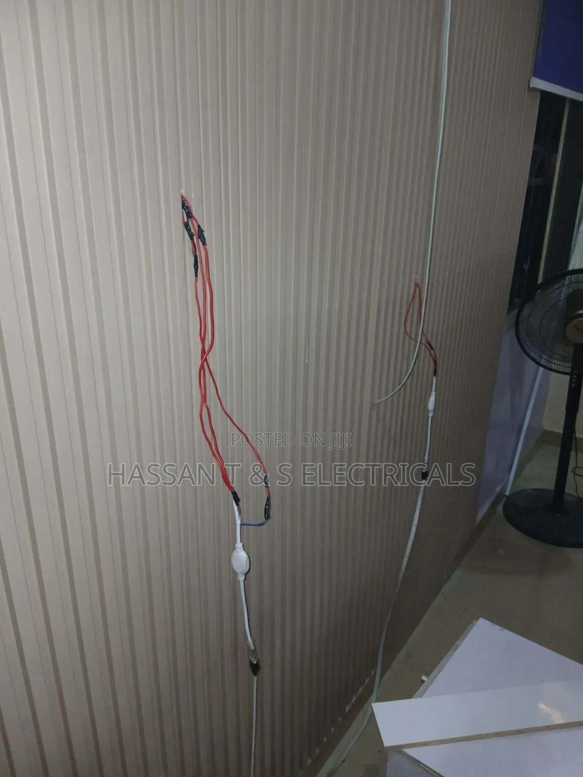 Professional Electrician