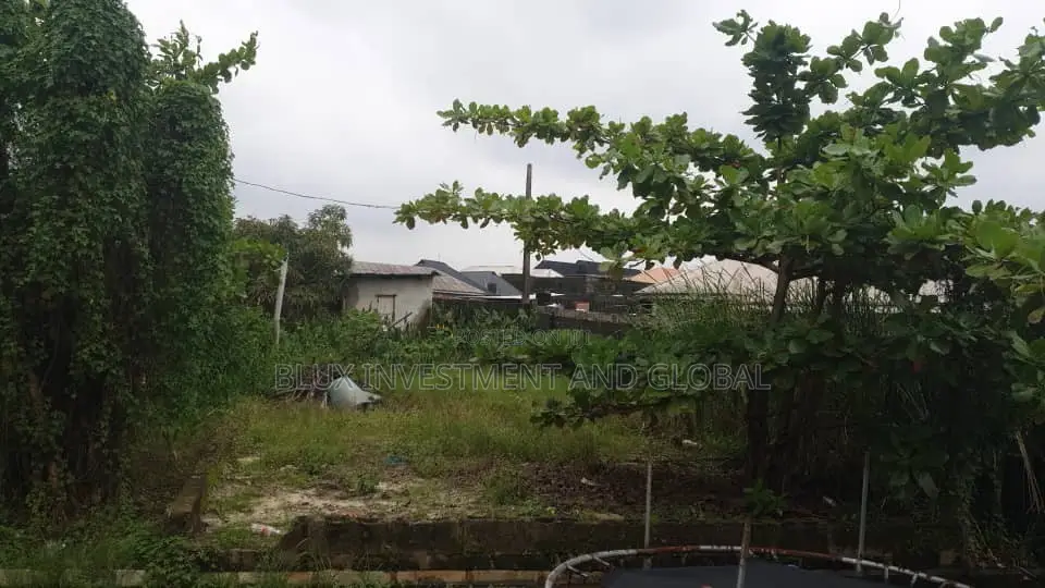 2 Plots of Land for Sale at Abraham Adesanya