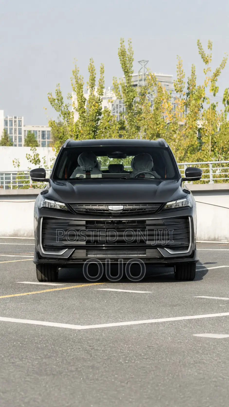 Geely EX2 2025 Gray