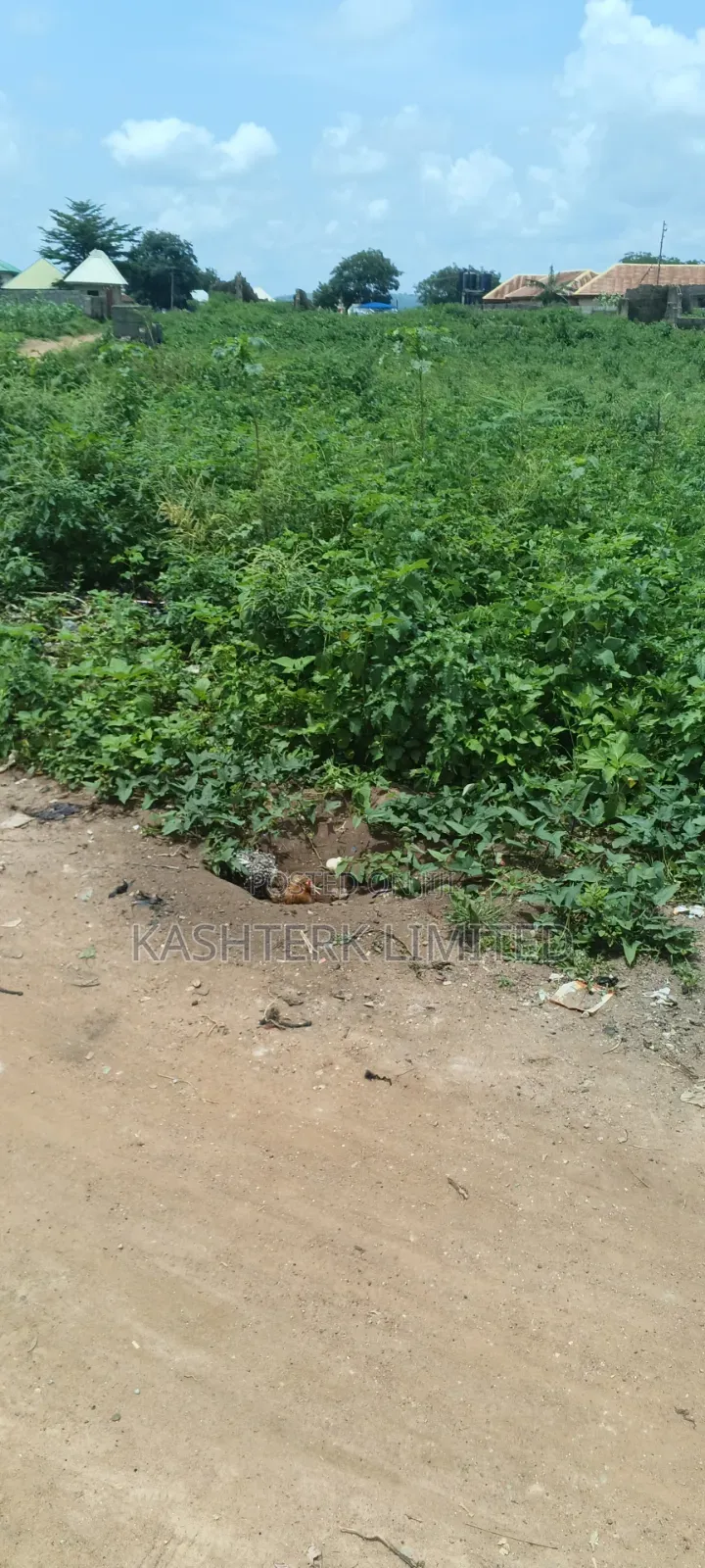 Land for Sale