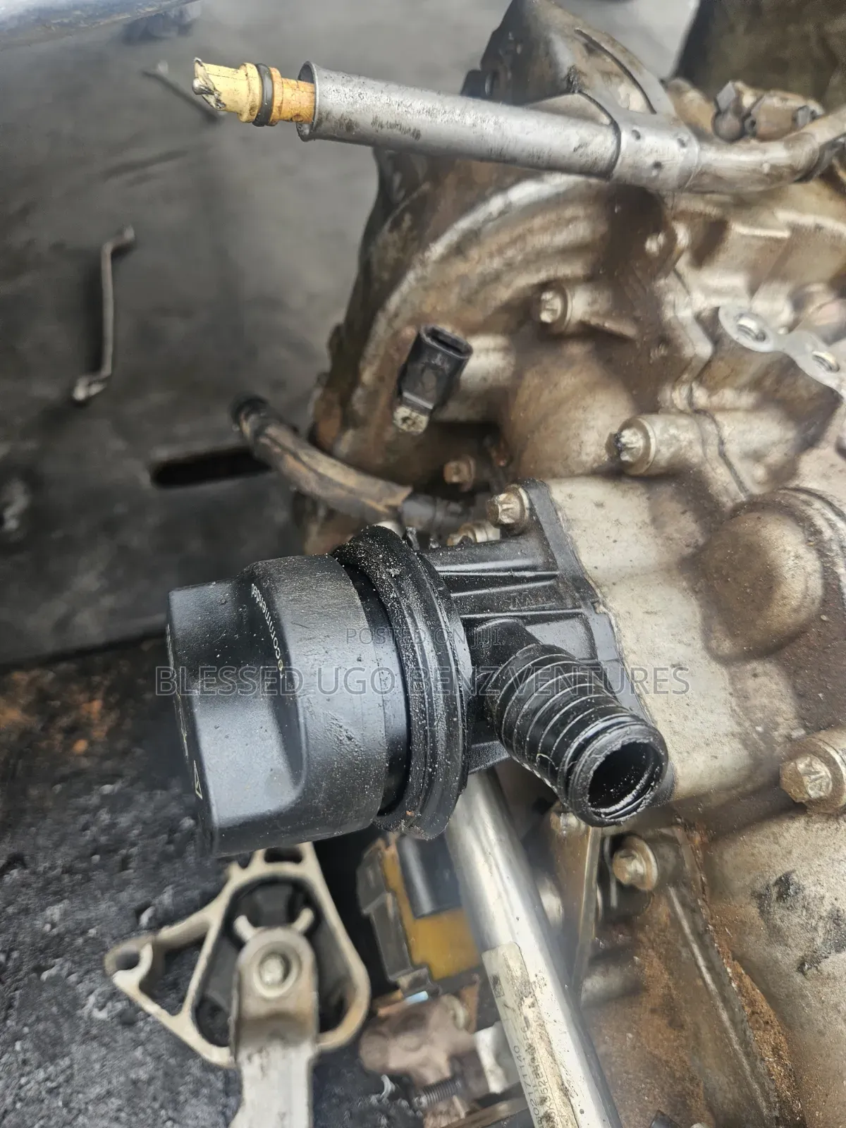 Oil Transmission Host 270