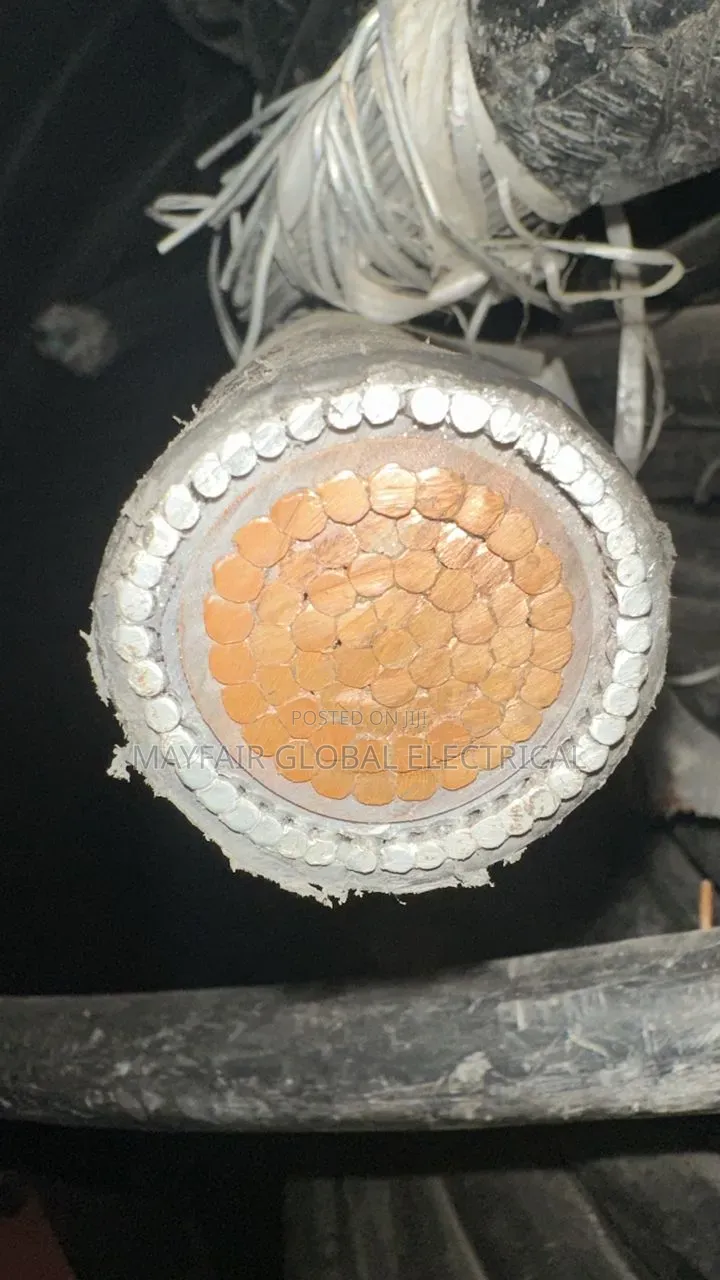 500mmx1core Armored Pure Copper Cable