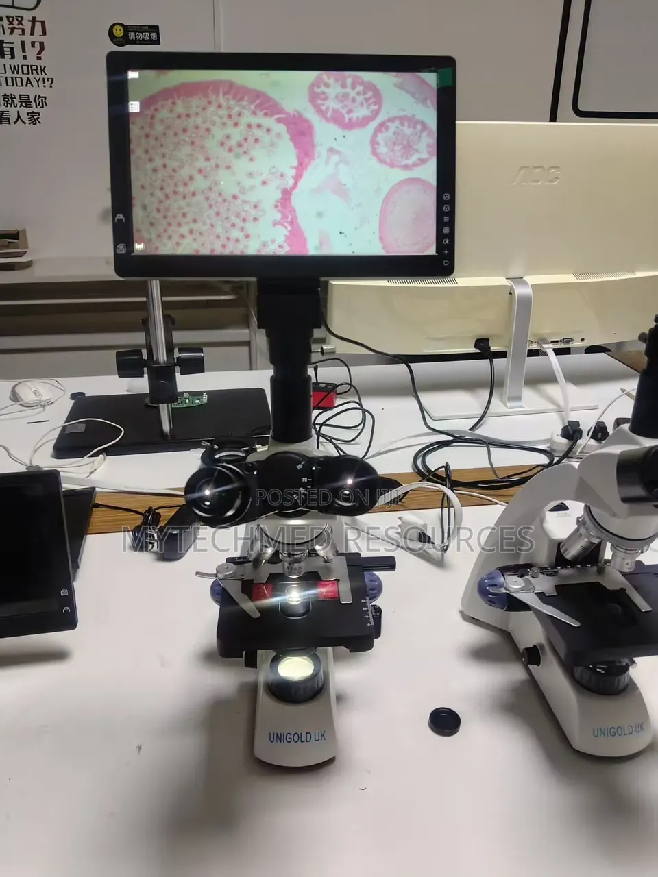 Pathology Microscope
