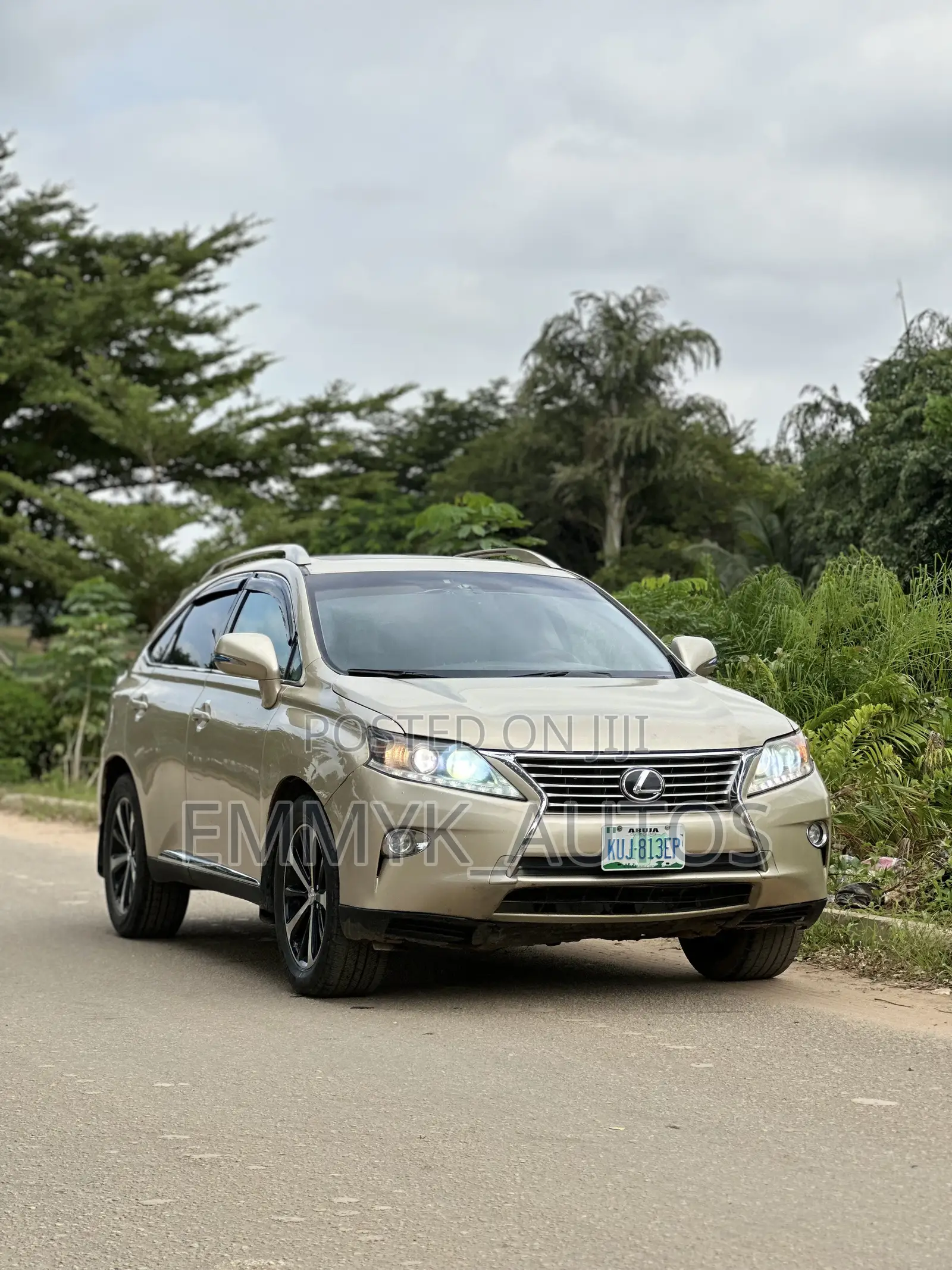 Lexus RX 350 2010 Gray