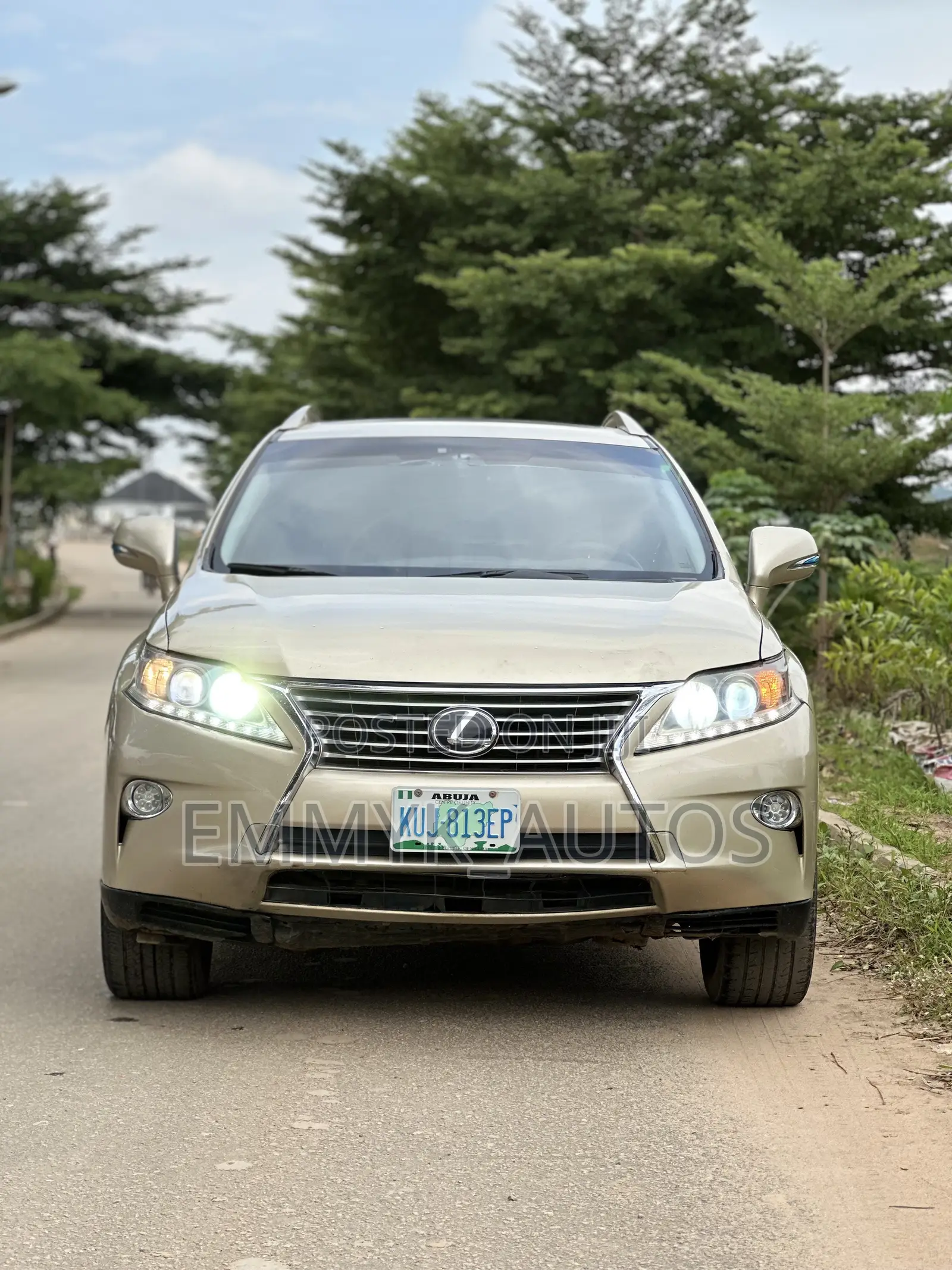 Lexus RX 350 2010 Gray