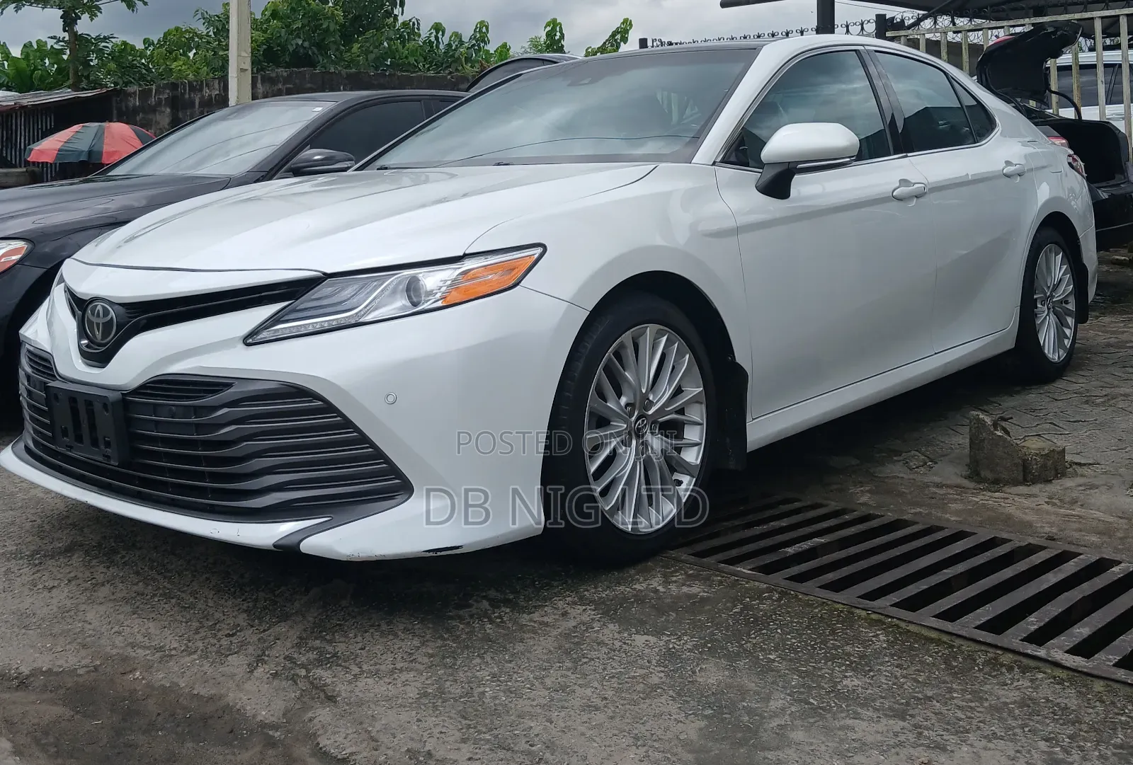 Toyota Camry XLE (2.5L 4cyl 8A) 2019 White