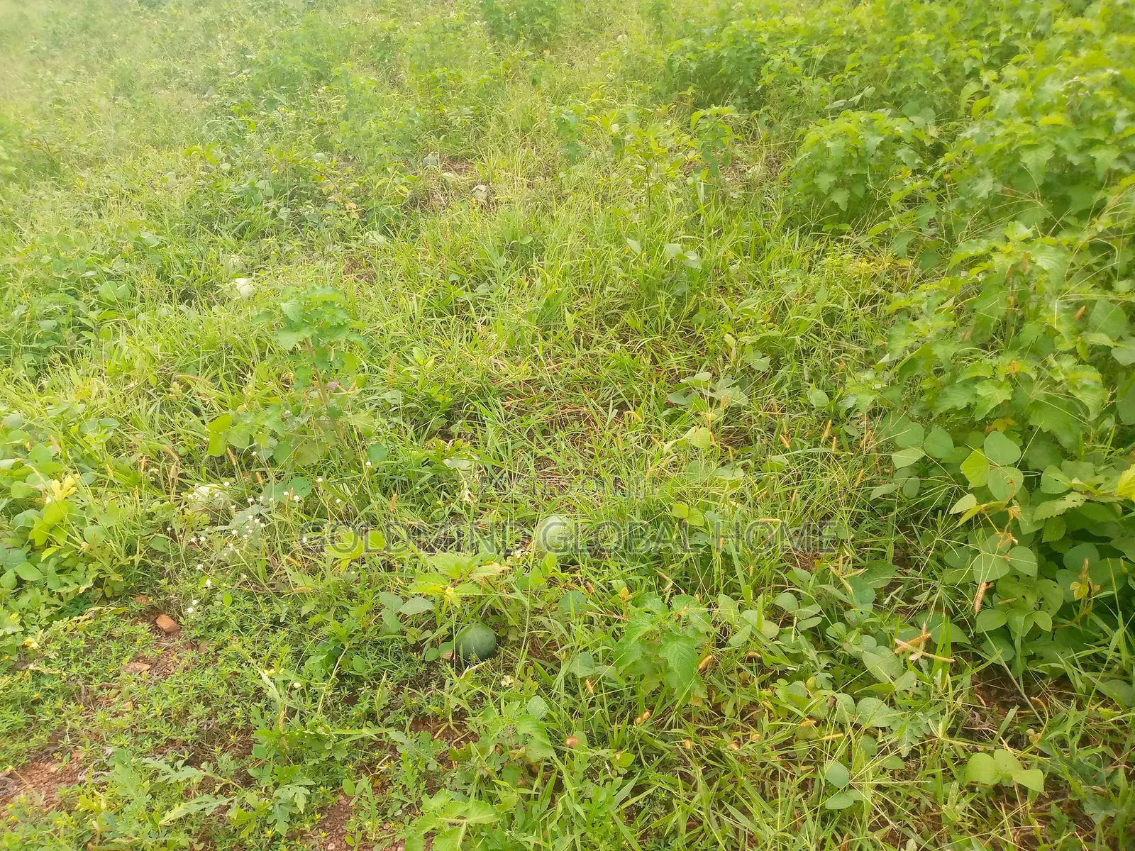 1.09 Hectares for Sale in Mabushi. Abuja - Nigeria