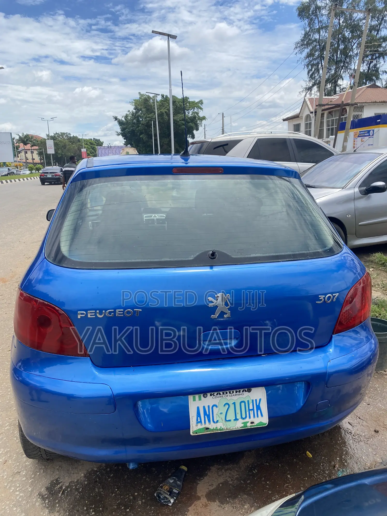 Peugeot 307 2007 Blue