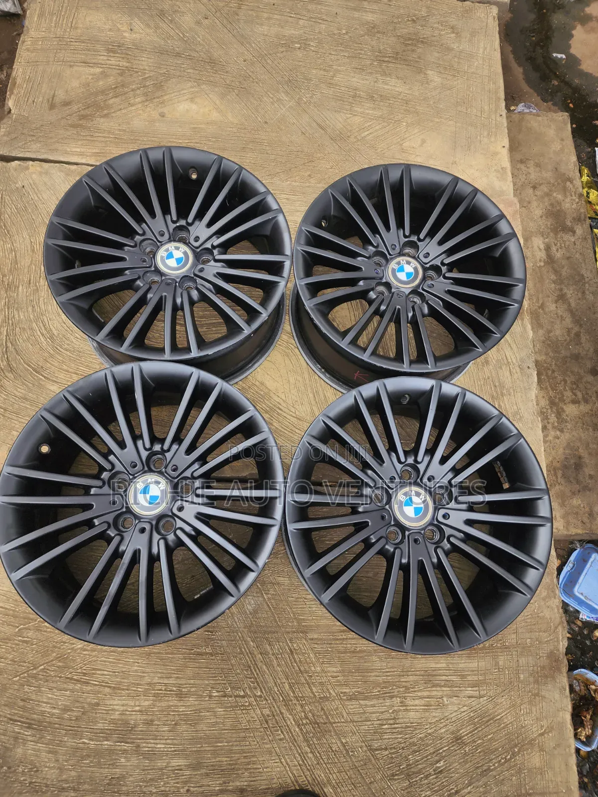 17-Inch BMW Rim.