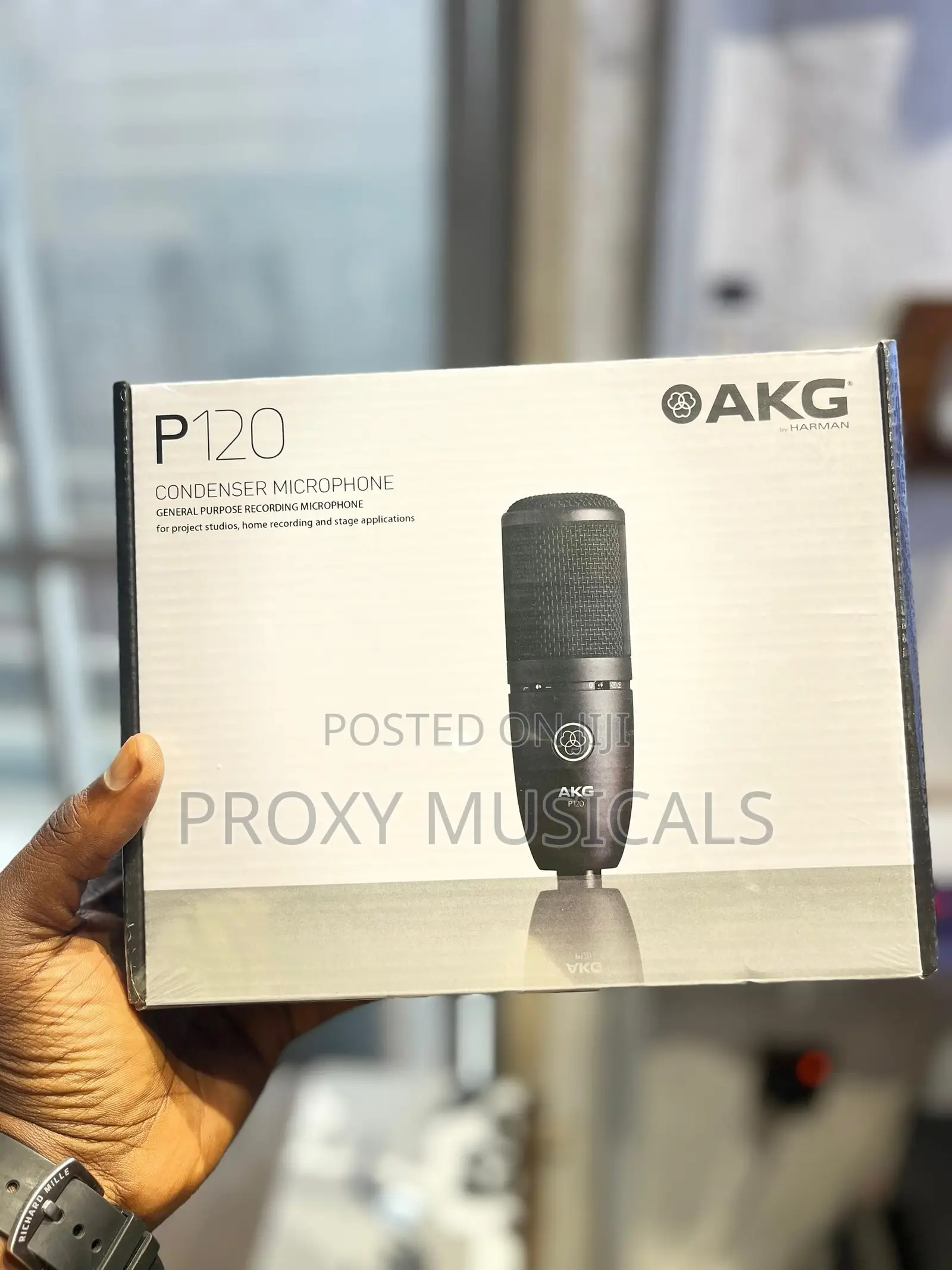 AKG P120 Studio Condenser Recording Microphone