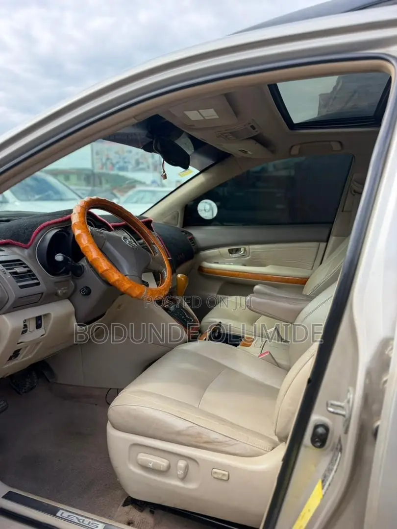 Lexus RX 2009 Silver