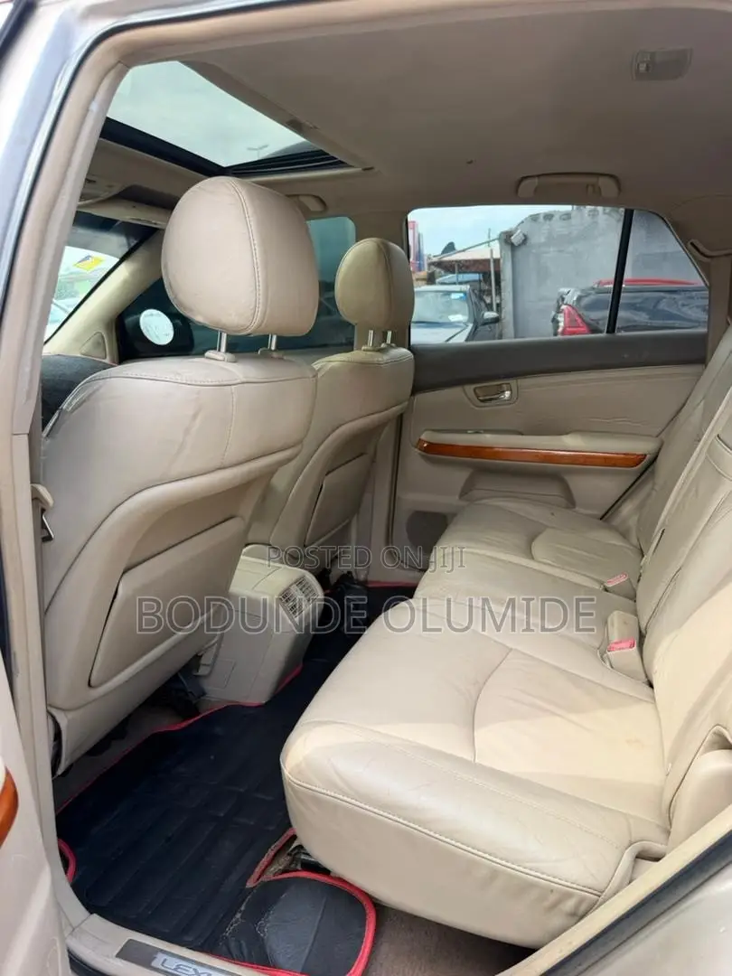 Lexus RX 2009 Silver