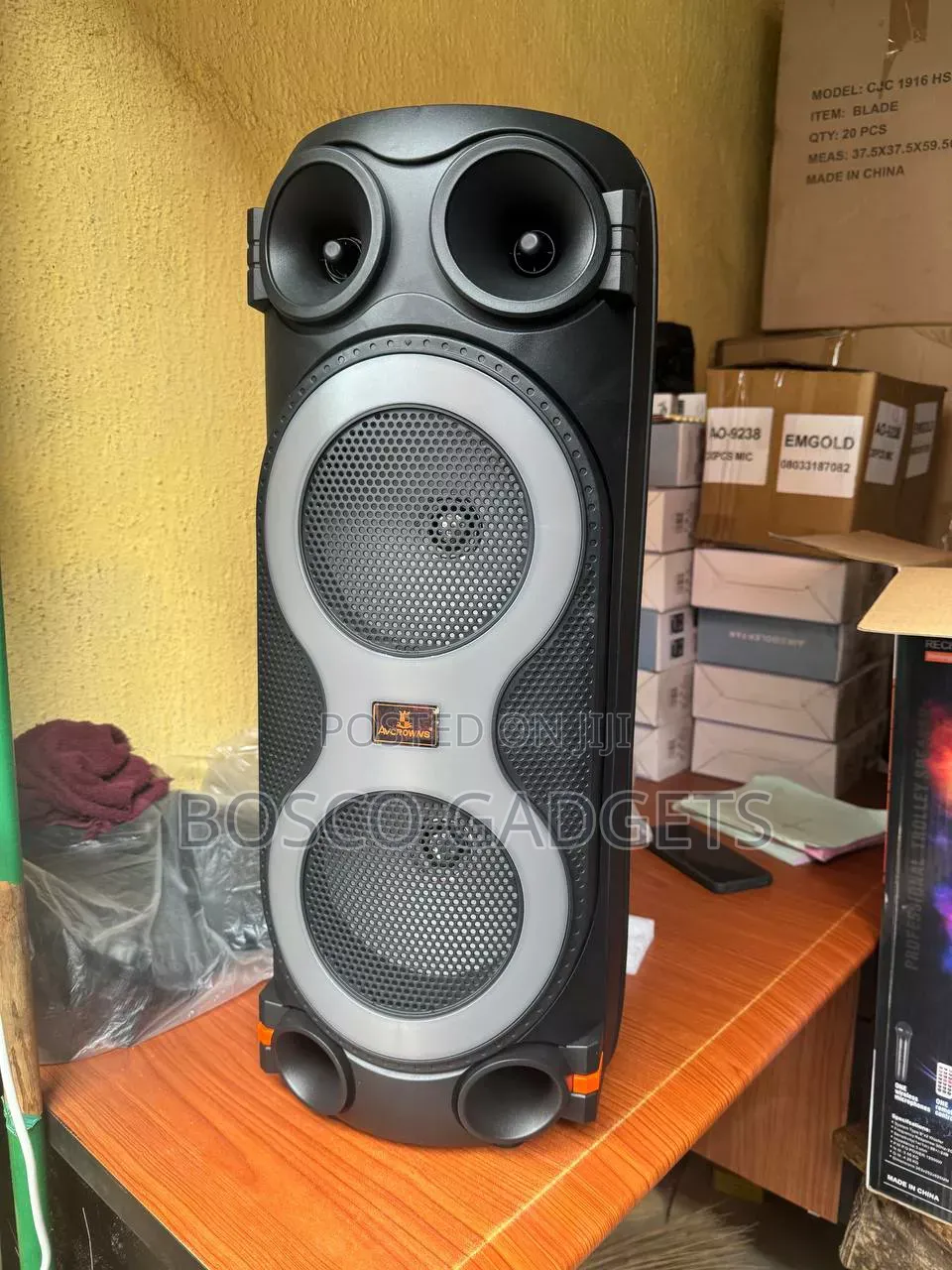 Dual-Mic Karaoke Wireless Speaker