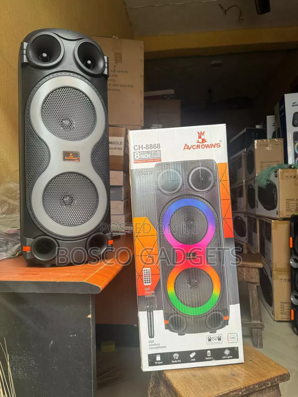 Dual-Mic Karaoke Wireless Speaker