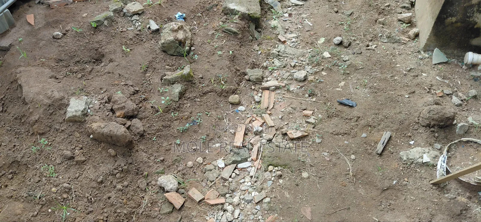 4200sqm Plot Outright Sale Banana Island Ikoyi Lagos