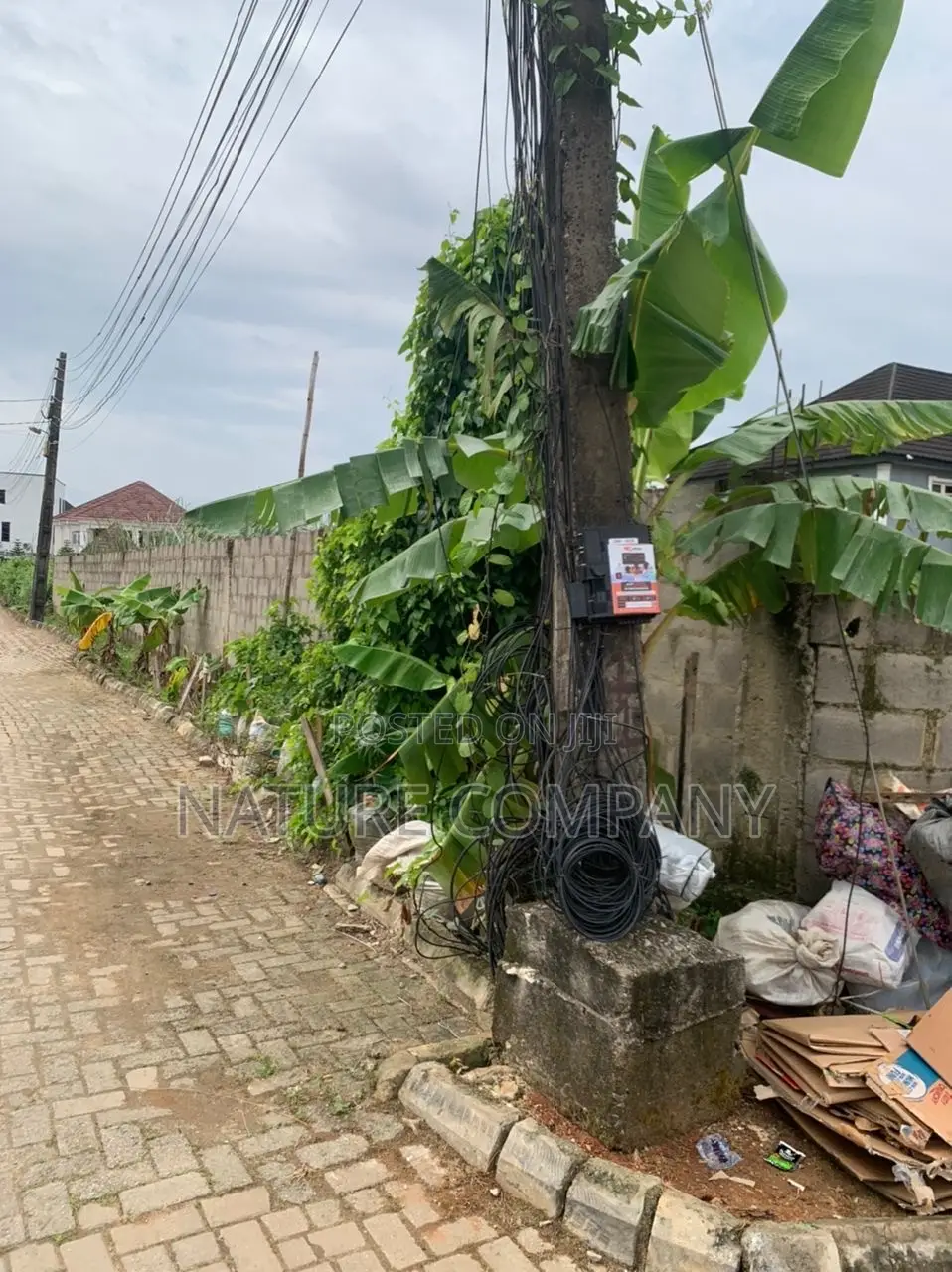 Certificate of Occupancy
