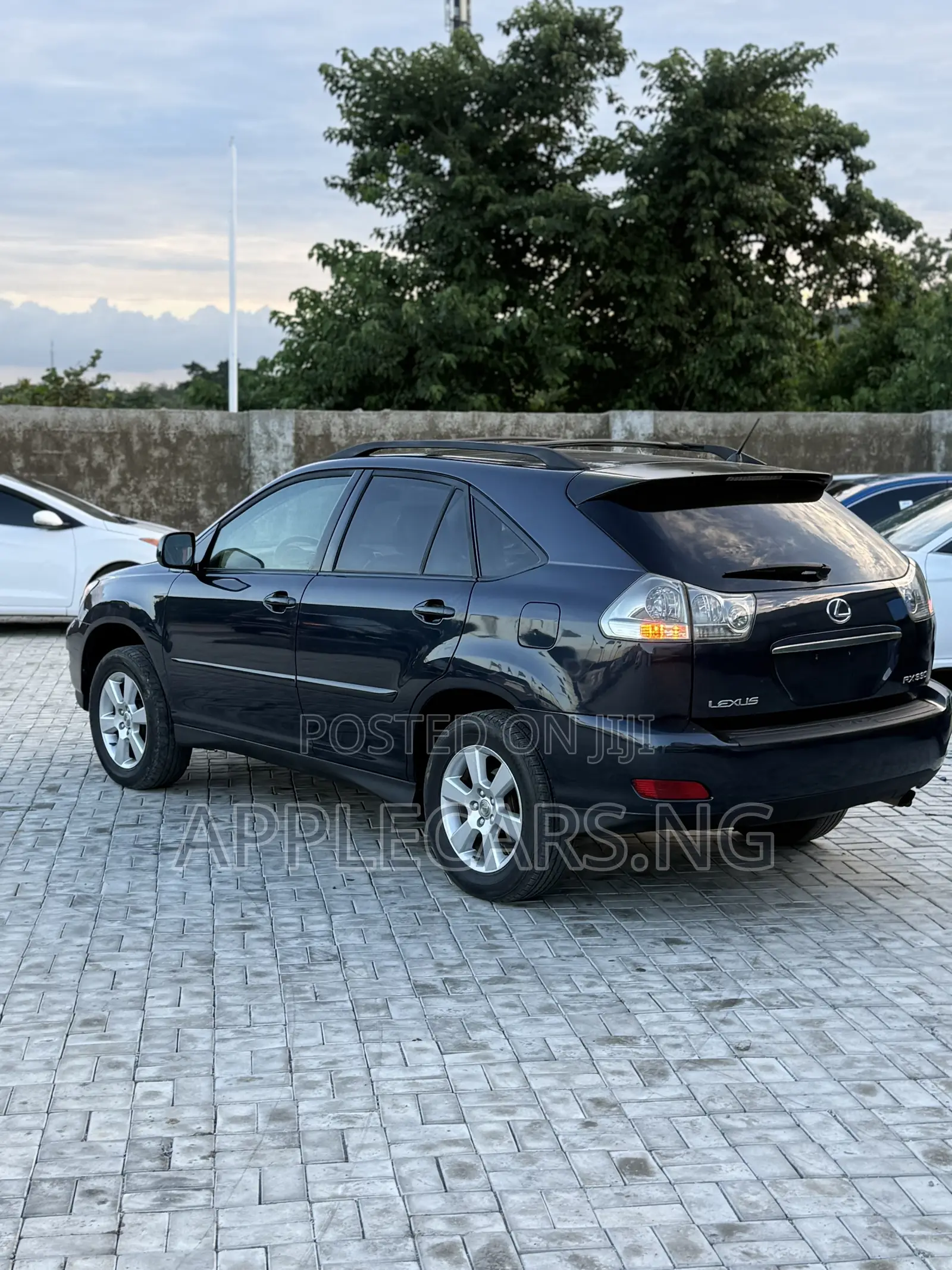 Lexus RX 330 2006 Gray