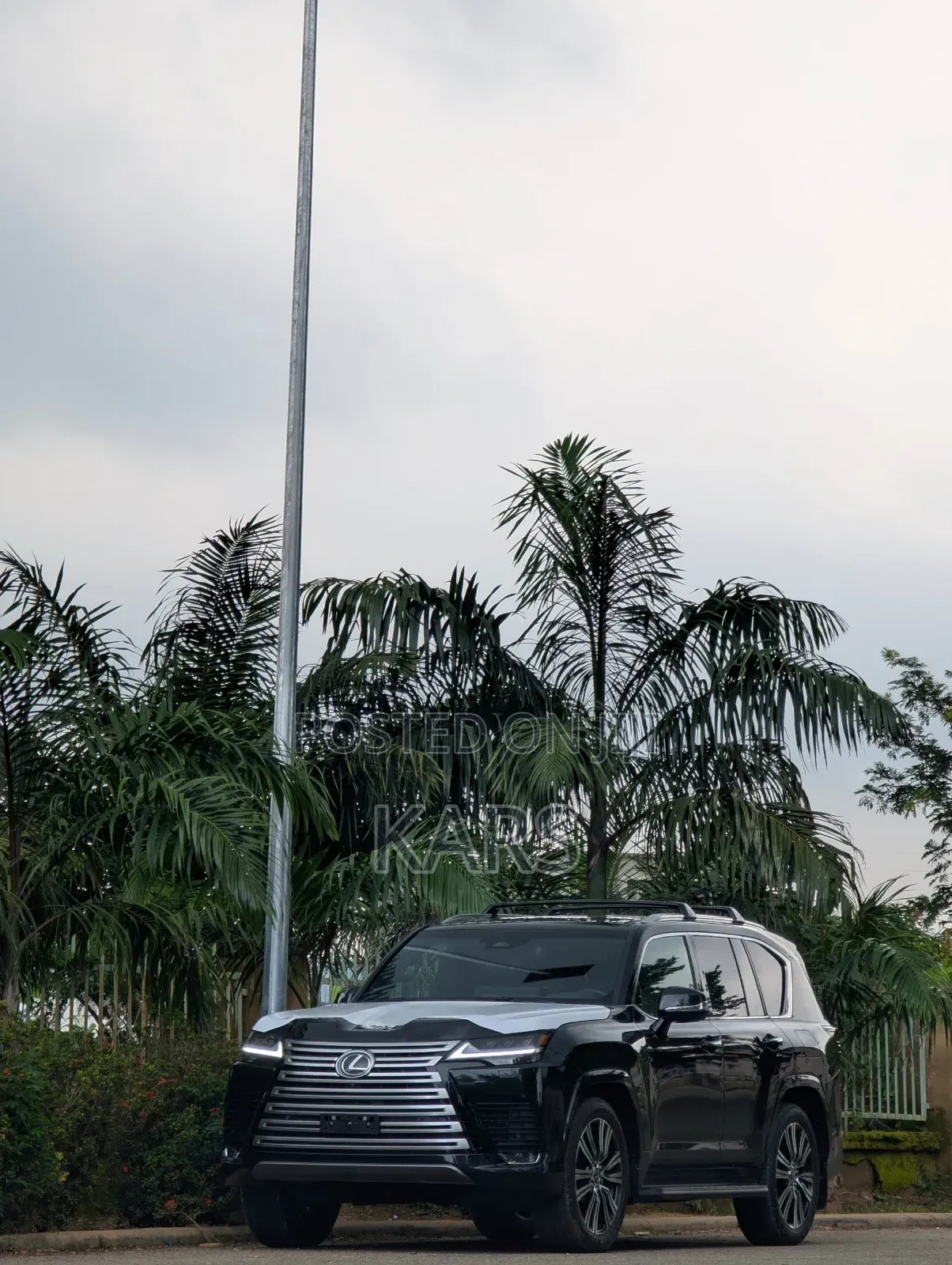 New Lexus LX 500d 2026 Black