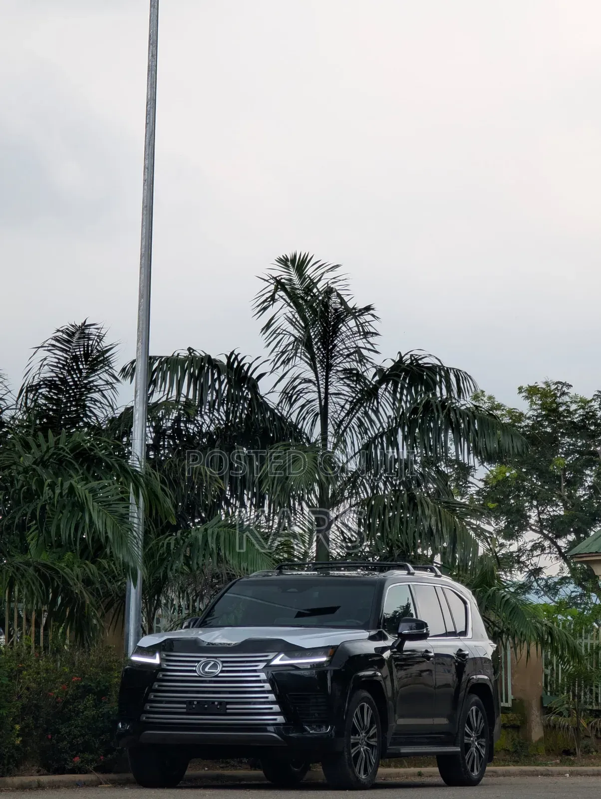 New Lexus LX 500d 2026 Black