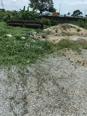 Duplex Land