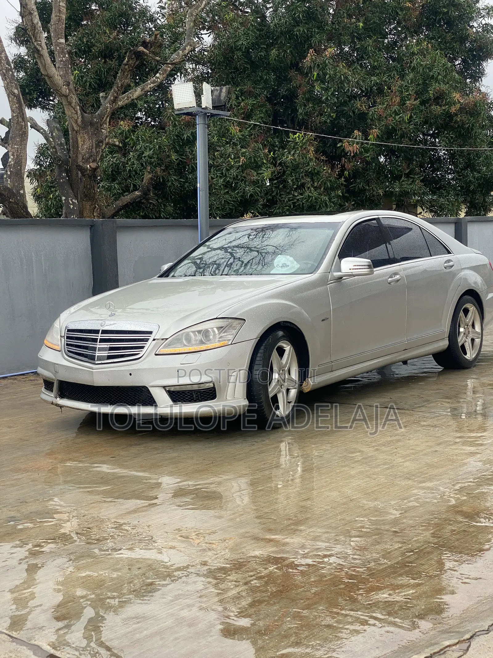 Mercedes-Benz S-Class S 350 BlueTEC (W221) 2010 Silver