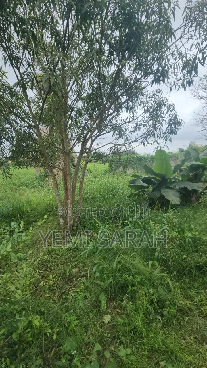 A Standard Plot of Land With a 2 Bedroom Flat