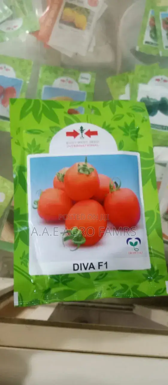 DIVA F1 Tomato Seeds
