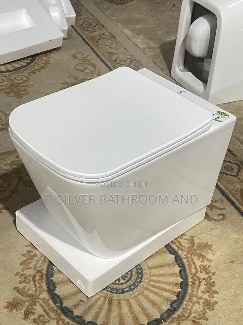 High Quality Conduit Wc