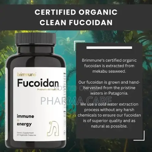Organic Fucoidan 500 Mg Pure Atlantic Patagonian - Bb536 Probiotics