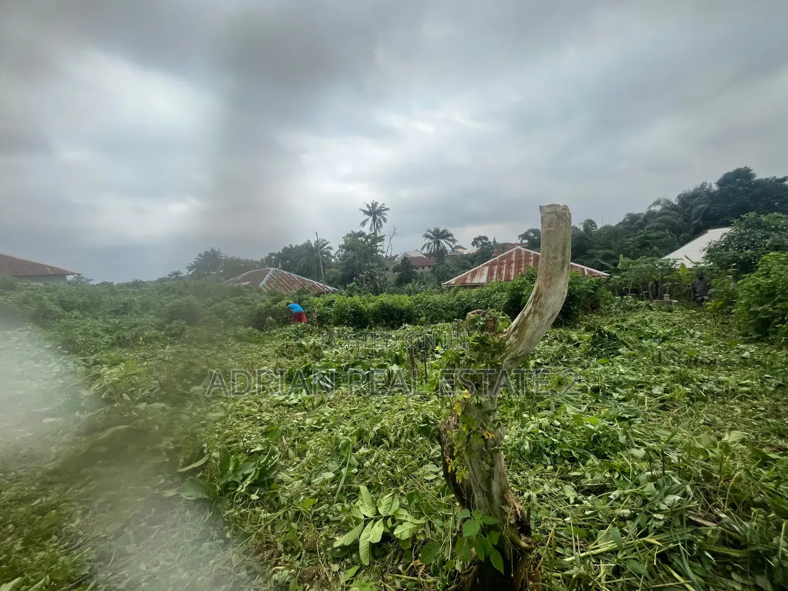 A Plot of Land at Health Tech Ilesa for Hostel & Residential