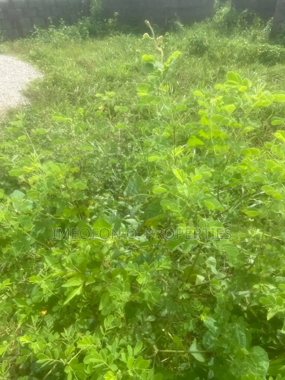 39.72 Hectares of Land for Sale